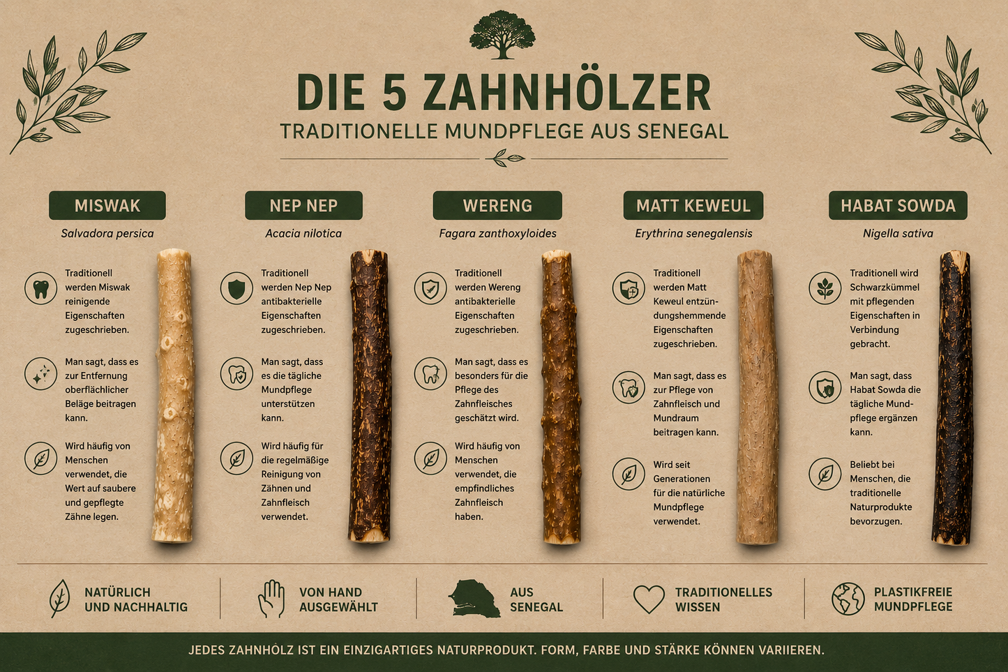 Zahnholz Probier-Set | 5 traditionelle Zahnhölzer aus Senegal
