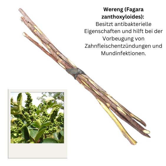 Zahnholz