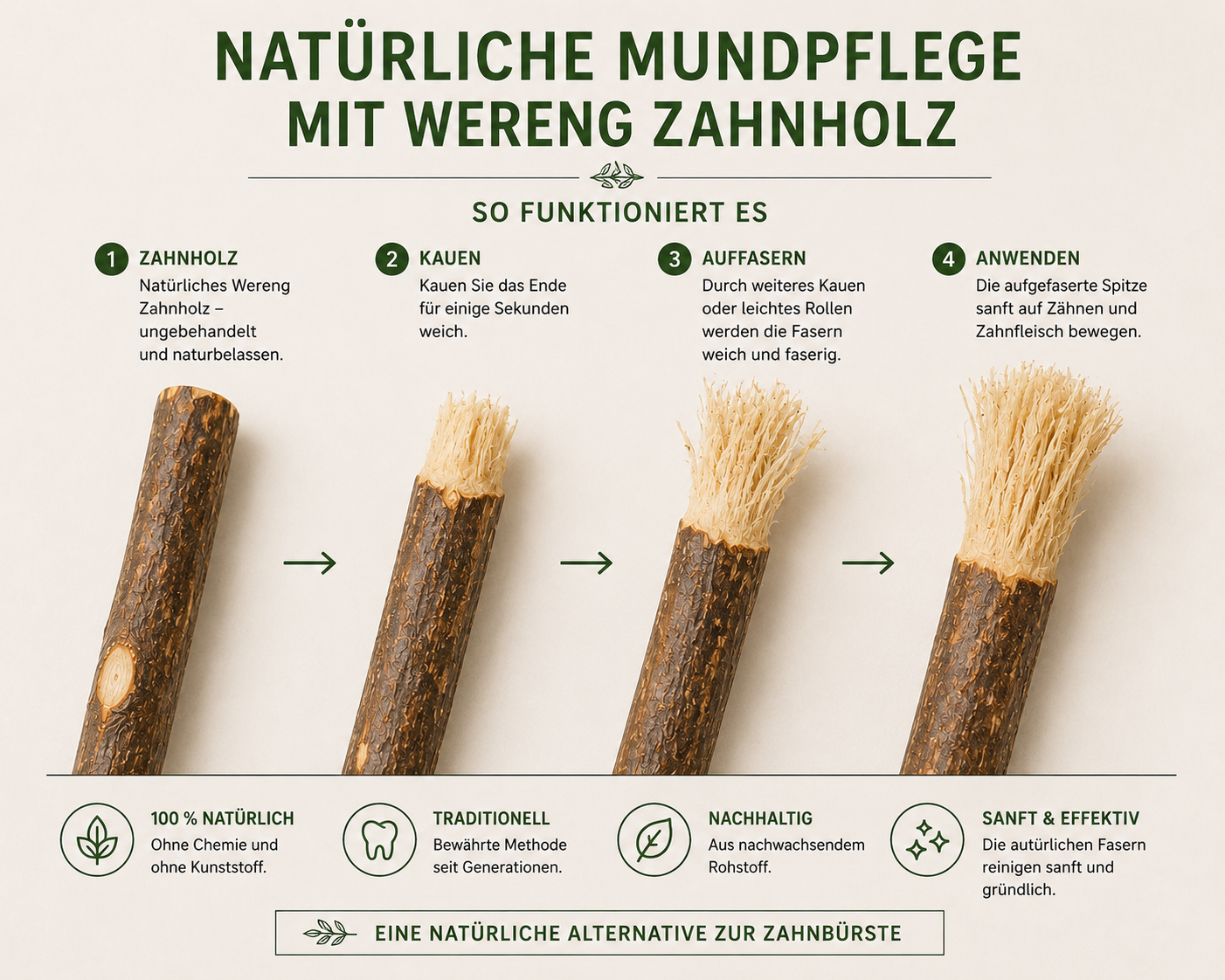 Wereng Zahnholz – Natürliche Mundpflege aus Fagara zanthoxyloides